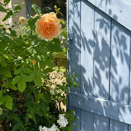 Maison Monsieur Leger * Montaut (Haute-Garonne)