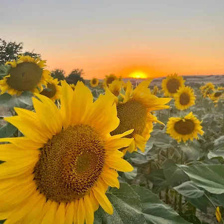 Maison Monsieur Leger