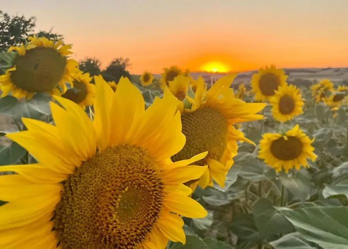 Maison Monsieur Leger